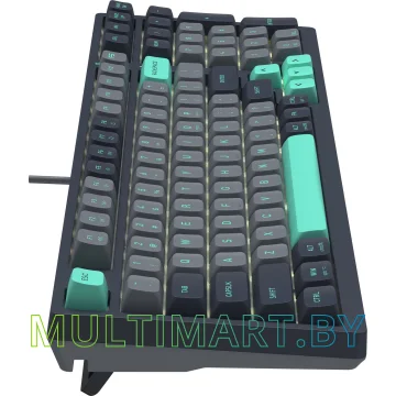 Клавиатура A4Tech Fstyler FS300 Panda Rock Climbing картинка 6
